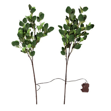 Evergreen Eucalyptus Branch 32 LED Lights Set of 2 - Melillo EnterprisesAll categories